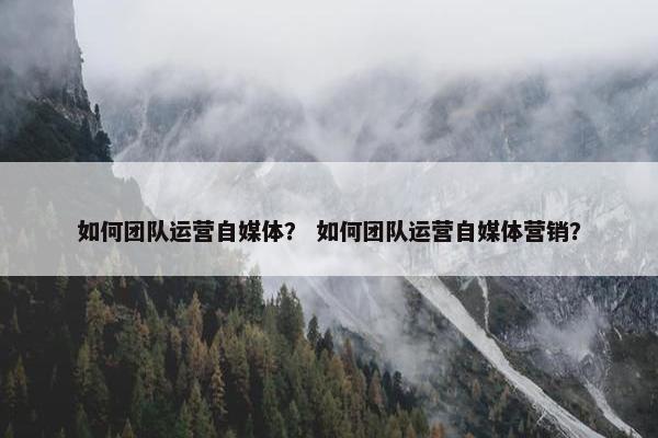 如何团队运营自媒体？ 如何团队运营自媒体营销？