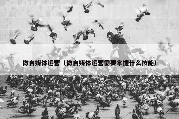 做自媒体运营（做自媒体运营需要掌握什么技能）