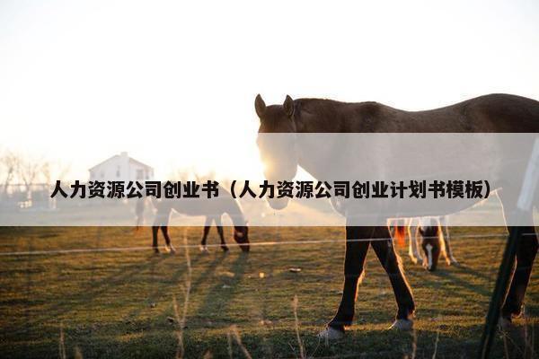 人力资源公司创业书（人力资源公司创业计划书模板）