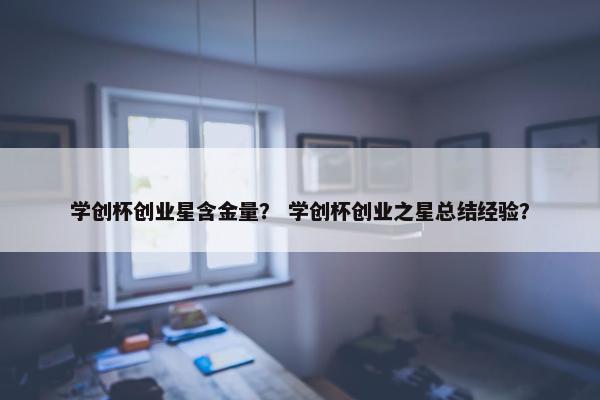 学创杯创业星含金量？ 学创杯创业之星总结经验？
