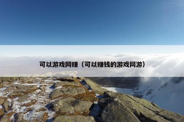 可以游戏网赚（可以赚钱的游戏网游）