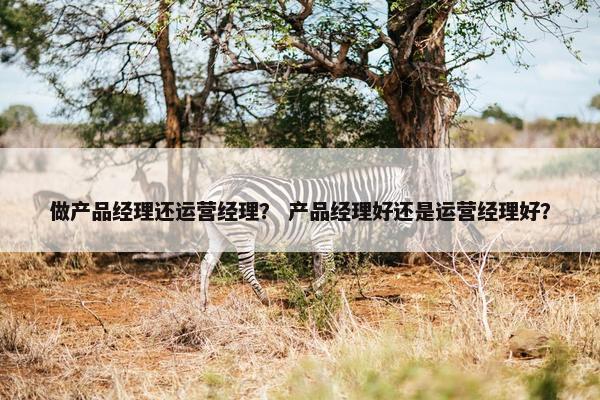 做产品经理还运营经理？ 产品经理好还是运营经理好？