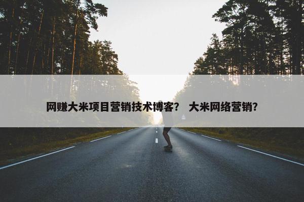 网赚大米项目营销技术博客？ 大米网络营销？