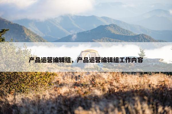 产品运营编辑组，产品运营编辑组工作内容