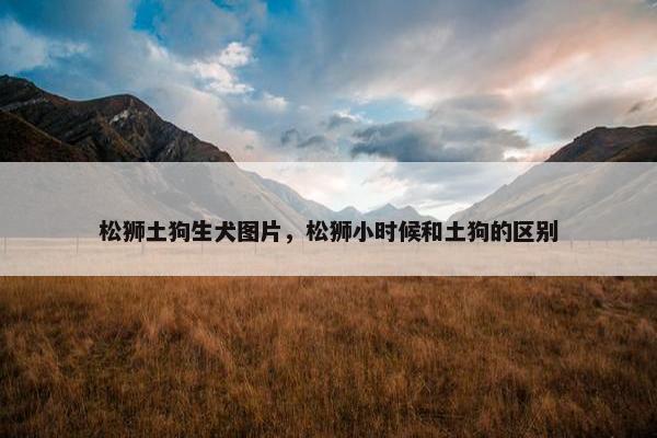 松狮土狗生犬图片，松狮小时候和土狗的区别