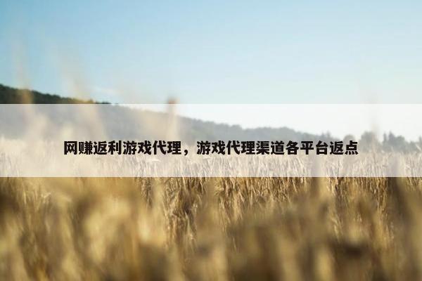 网赚返利游戏代理，游戏代理渠道各平台返点