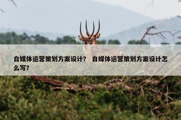 自媒体运营策划方案设计？ 自媒体运营策划方案设计怎么写？