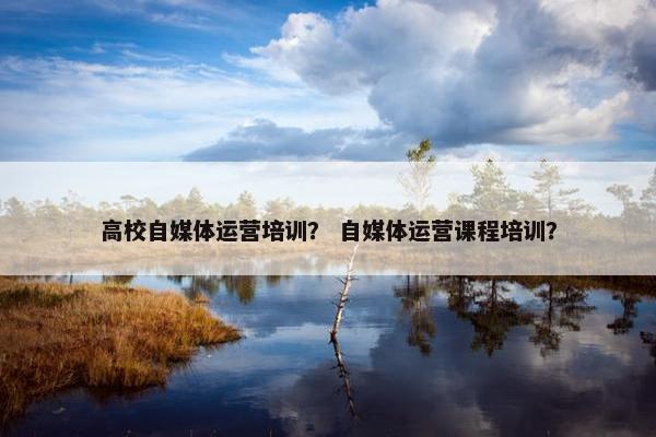 高校自媒体运营培训？ 自媒体运营课程培训？