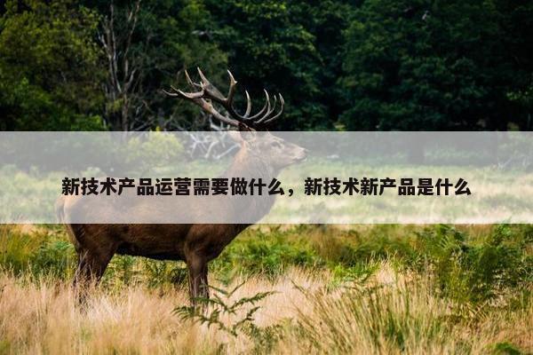 新技术产品运营需要做什么，新技术新产品是什么