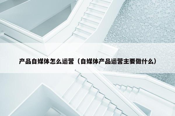 产品自媒体怎么运营（自媒体产品运营主要做什么）