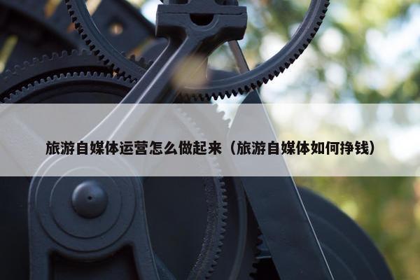 旅游自媒体运营怎么做起来（旅游自媒体如何挣钱）