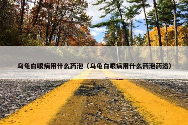 乌龟白眼病用什么药泡（乌龟白眼病用什么药泡药浴）