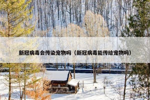 新冠病毒会传染宠物吗（新冠病毒能传给宠物吗）