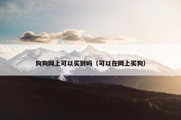 狗狗网上可以买到吗（可以在网上买狗）
