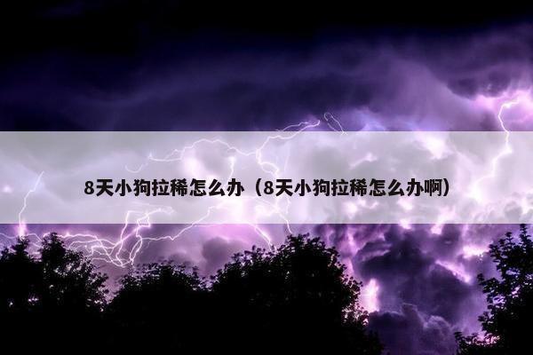 8天小狗拉稀怎么办（8天小狗拉稀怎么办啊）