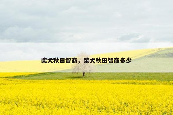 柴犬秋田智商，柴犬秋田智商多少