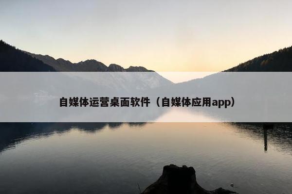 自媒体运营桌面软件（自媒体应用app）