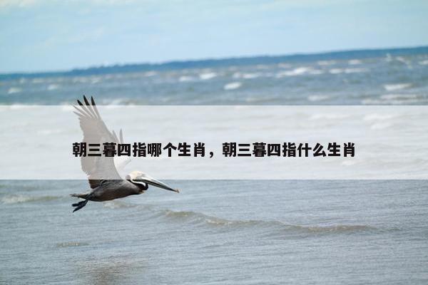 朝三暮四指哪个生肖，朝三暮四指什么生肖