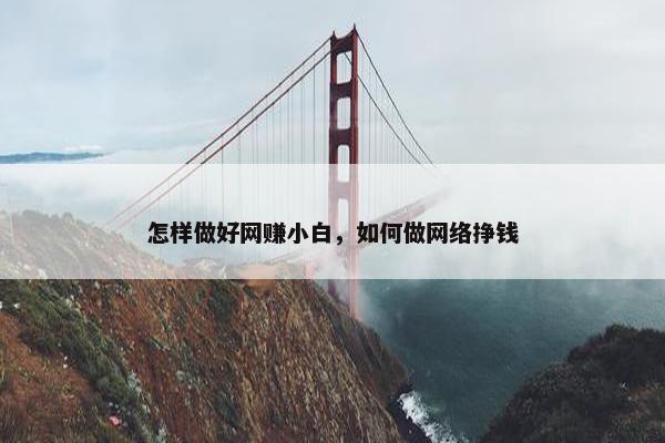 怎样做好网赚小白，如何做网络挣钱