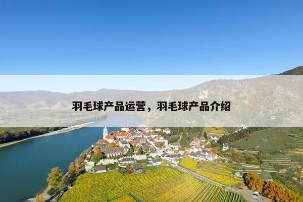 羽毛球产品运营，羽毛球产品介绍