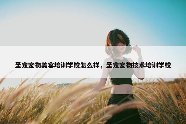 圣宠宠物美容培训学校怎么样，圣宠宠物技术培训学校