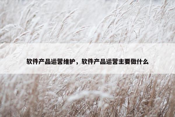 软件产品运营维护，软件产品运营主要做什么