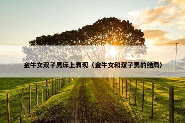 金牛女双子男床上表现（金牛女和双子男的结局）