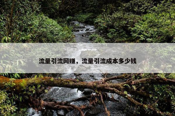 流量引流网赚，流量引流成本多少钱