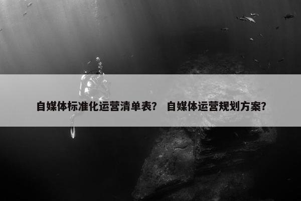 自媒体标准化运营清单表？ 自媒体运营规划方案？