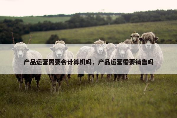产品运营需要会计算机吗，产品运营需要销售吗