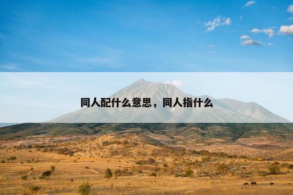 同人配什么意思，同人指什么