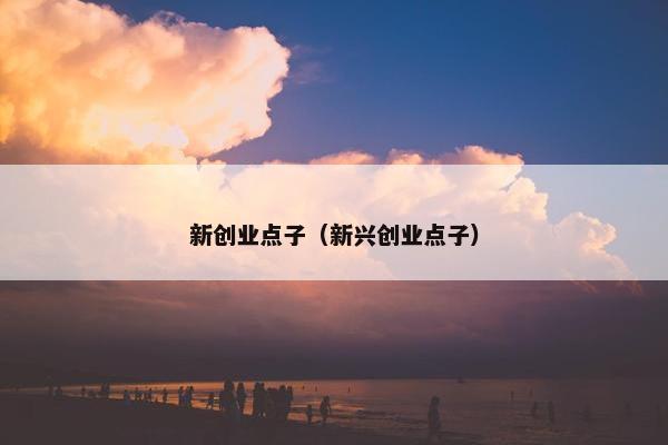 新创业点子（新兴创业点子）