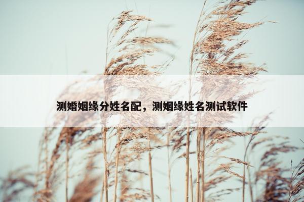 测婚姻缘分姓名配，测姻缘姓名测试软件