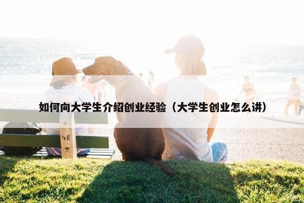 如何向大学生介绍创业经验（大学生创业怎么讲）