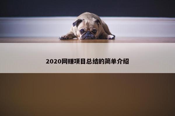 2020网赚项目总结的简单介绍
