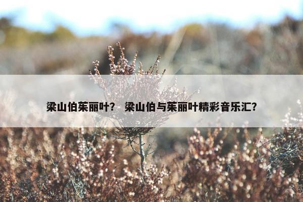 梁山伯茱丽叶？ 梁山伯与茱丽叶精彩音乐汇？