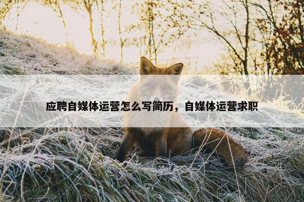 应聘自媒体运营怎么写简历，自媒体运营求职
