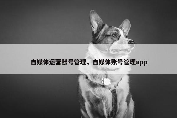 自媒体运营账号管理，自媒体账号管理app