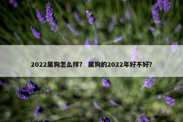 2022属狗怎么样？ 属狗的2022年好不好？