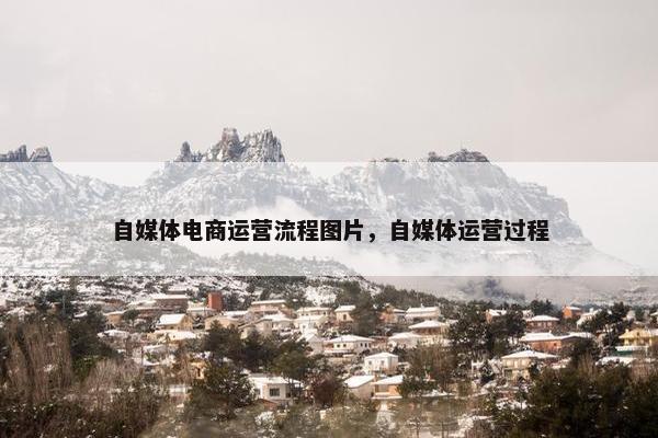 自媒体电商运营流程图片，自媒体运营过程