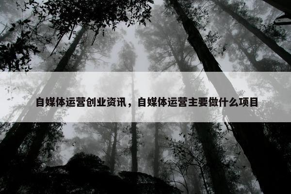 自媒体运营创业资讯，自媒体运营主要做什么项目
