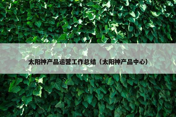 太阳神产品运营工作总结（太阳神产品中心）