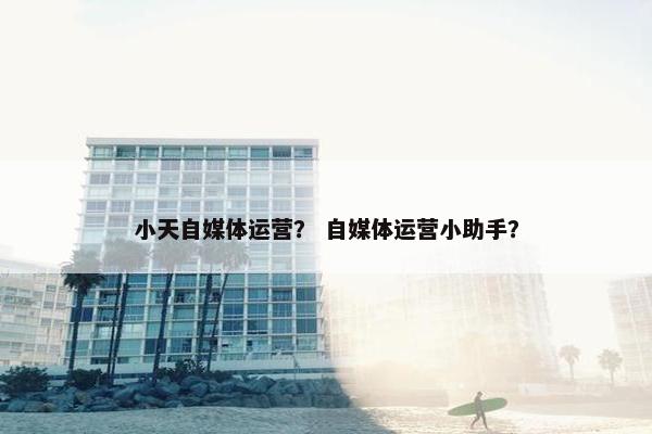 小天自媒体运营？ 自媒体运营小助手？