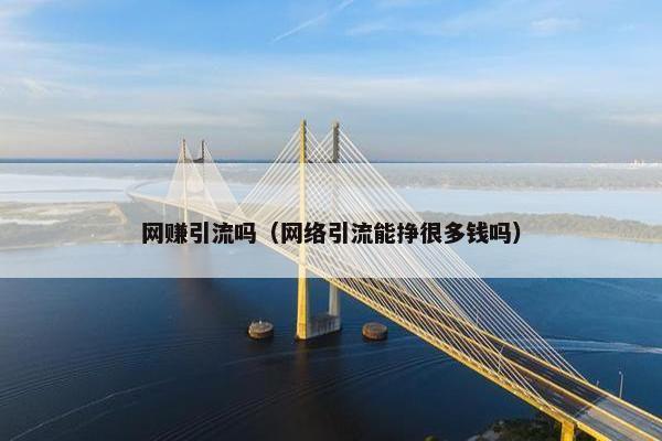 网赚引流吗（网络引流能挣很多钱吗）