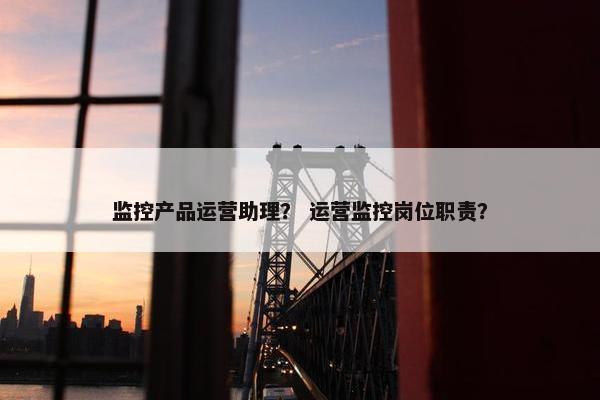 监控产品运营助理？ 运营监控岗位职责？