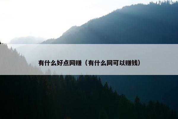 有什么好点网赚（有什么网可以赚钱）