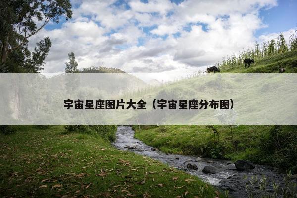 宇宙星座图片大全（宇宙星座分布图）