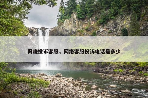 网赚投诉客服，网络客服投诉电话是多少