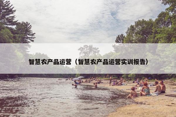 智慧农产品运营（智慧农产品运营实训报告）