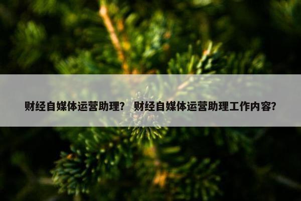 财经自媒体运营助理？ 财经自媒体运营助理工作内容？